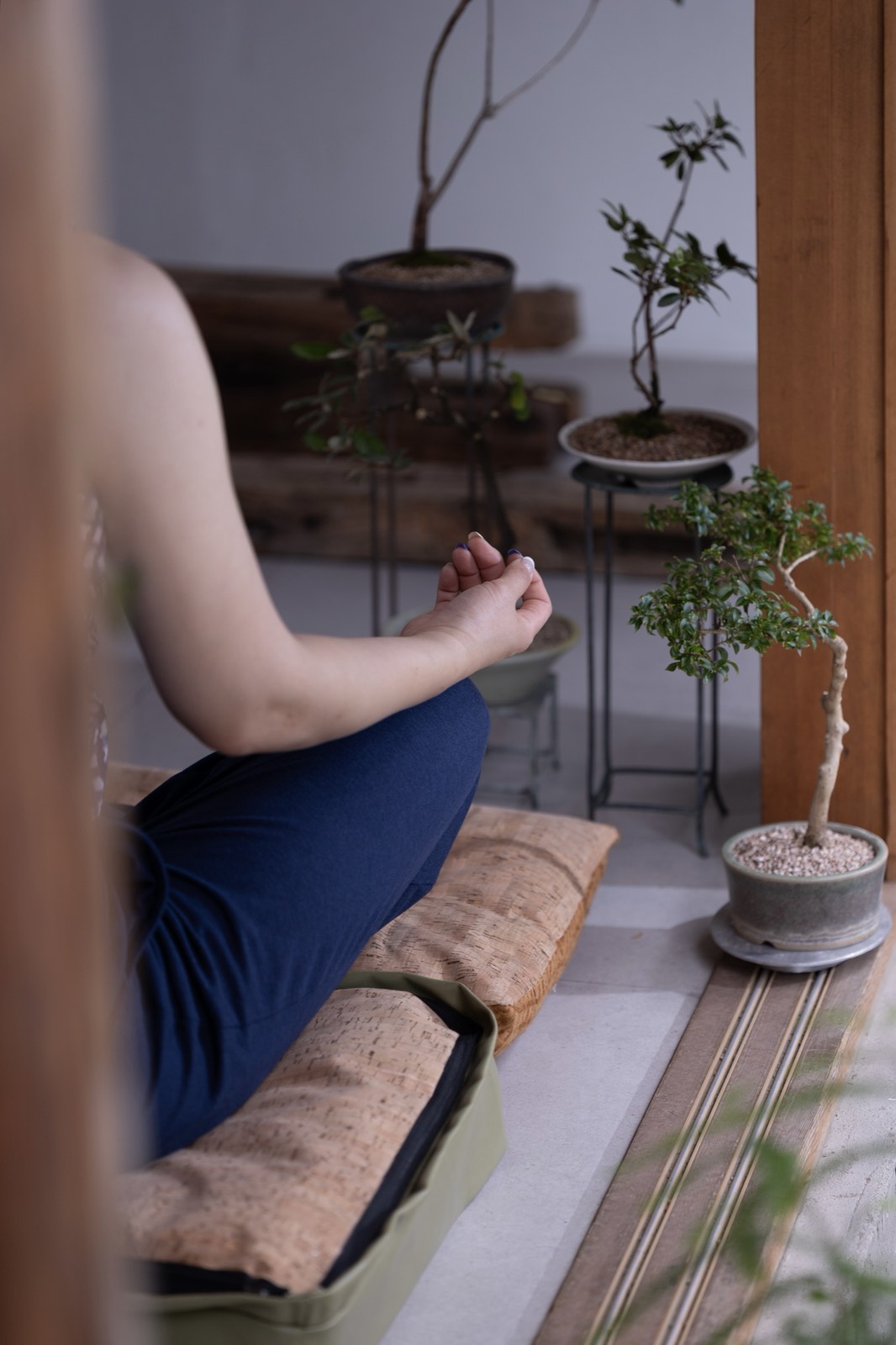 Meditation